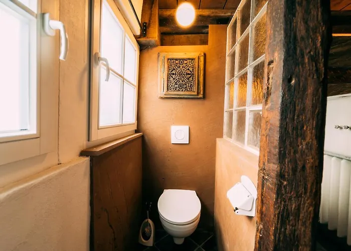 Haus Zum Ring 펜션 *